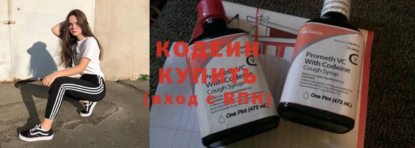 дурь Билибино