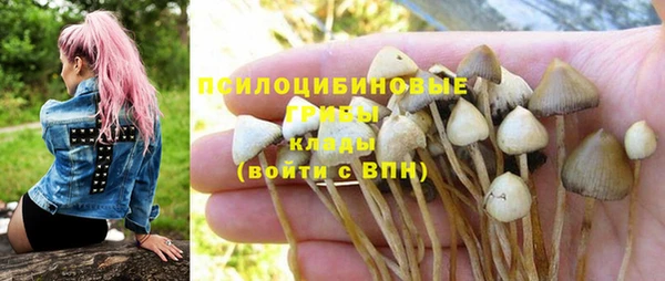 шишки Верхнеуральск