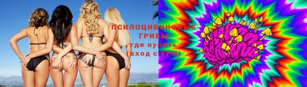 шишки Верхнеуральск