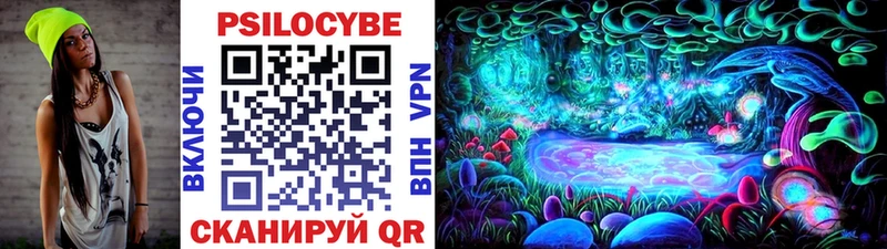 что такое наркотик  Зуевка  Псилоцибиновые грибы Psilocybe 